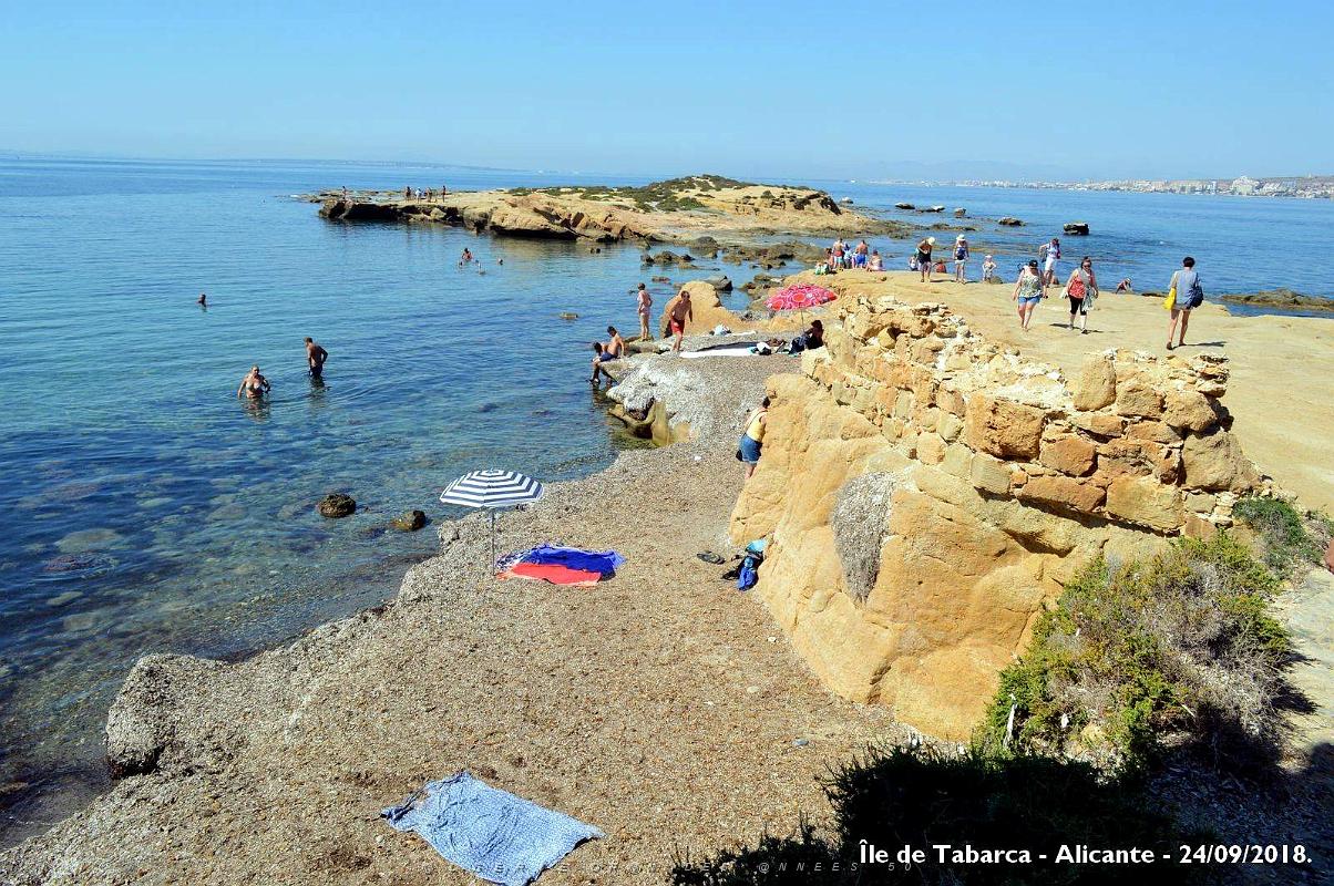 21 ALICANTE L ILE DE TABARCA (132).JPG